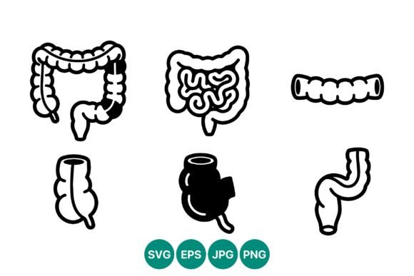Intestines Black and White Icons Set