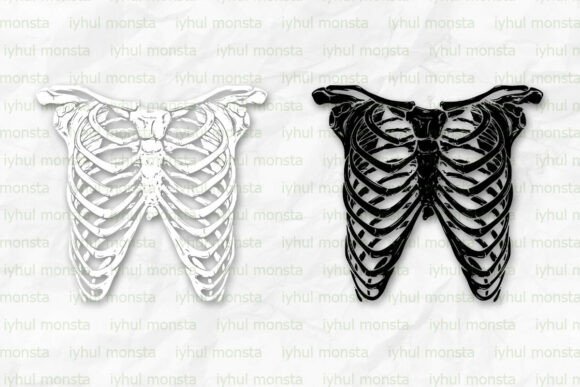 Skeleton Rib Illustration